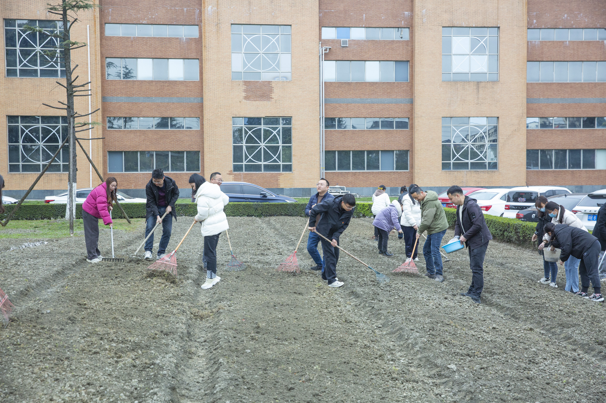 植树节 | 开云官方版网站登录入口开展“植此青绿，拥抱春天”植树节活动